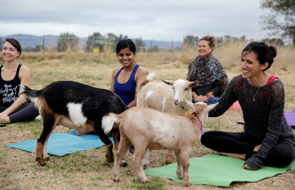 yoga