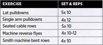 back workout table