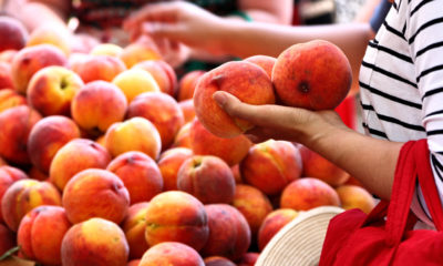 farmers' market