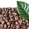 coffee beans next to a green leaf