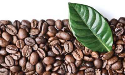 coffee beans next to a green leaf