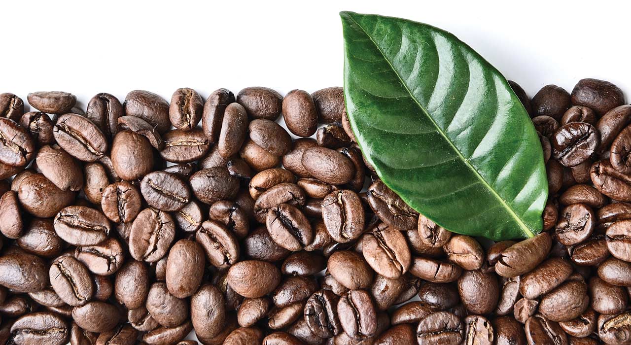 coffee beans next to a green leaf