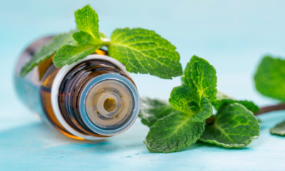 herbs and a medicine bottle