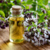 oregano oil in a small flask