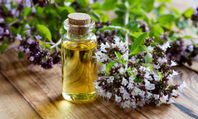 oregano oil in a small flask