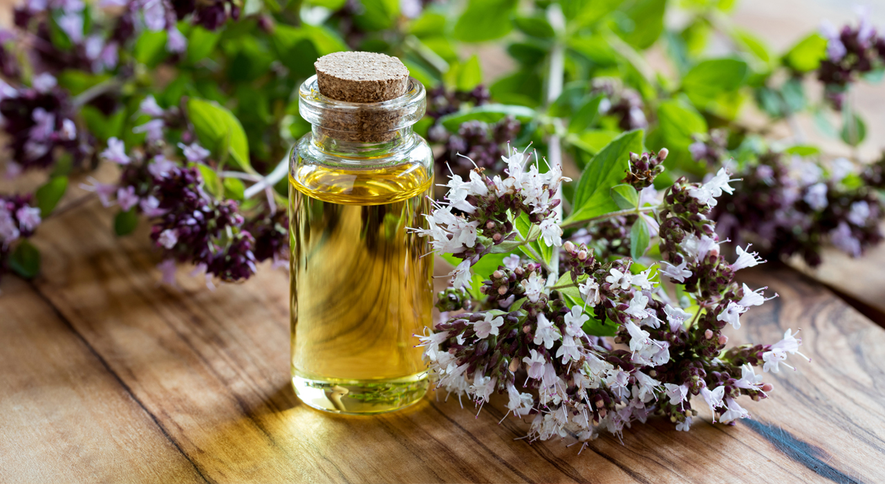 oregano oil in a small flask