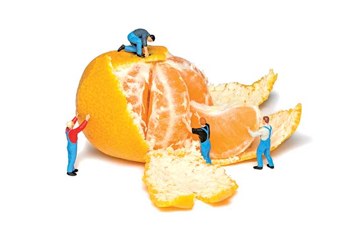 miniature builder figures working on unpeeling a tangerine