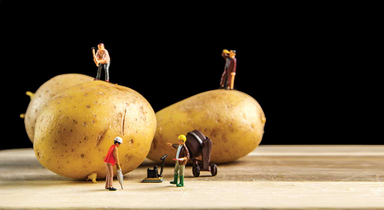 miniature builder figures working around two potatoes
