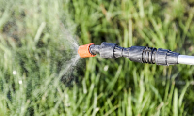 a hose pipe spraying water onto grass