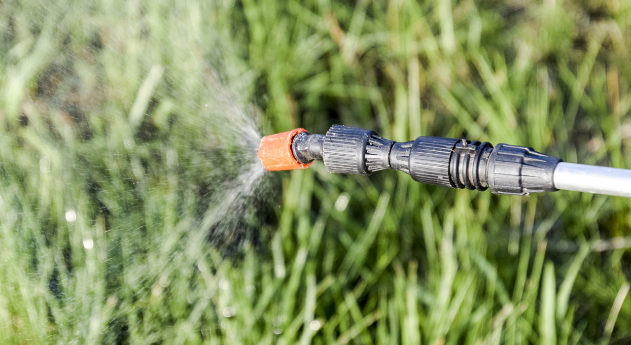 a hose pipe spraying water onto grass