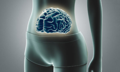animation of a womans gut with a brain in it