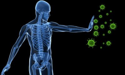 human skeleton handing off bacteria graphic
