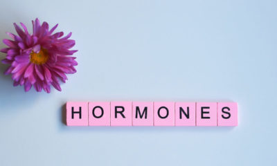 hormones